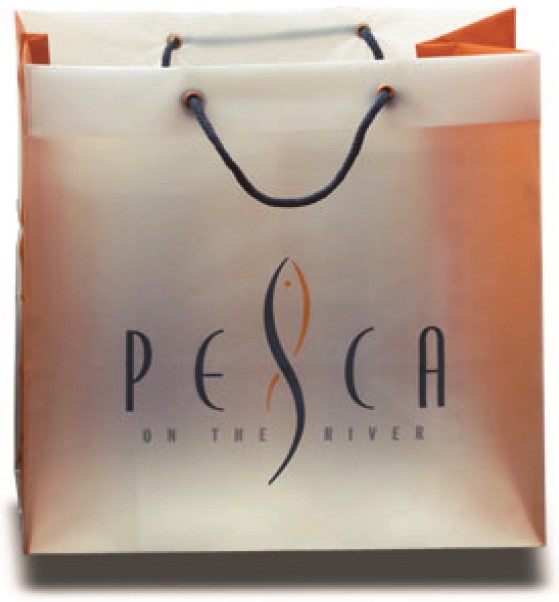 Custom Plastic Shopping Bags