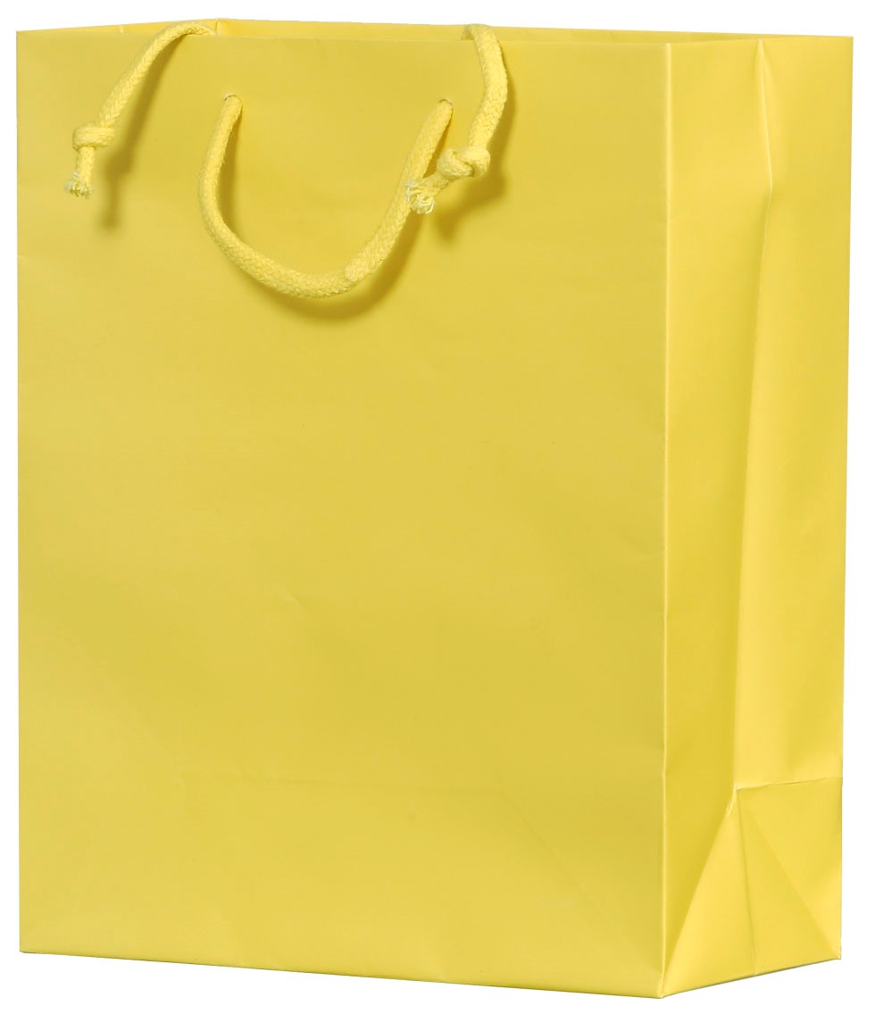 8 x 4 x 10 Matte Laminated Signature Eurototes (Case of 100) Matte-Laminated-Signature-Eurototes-8