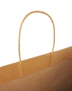 16x6x12 Premium Turn Top Brown Kraft Shopping Bags Premium-Turn-Top-16-Plain-Brown View 2