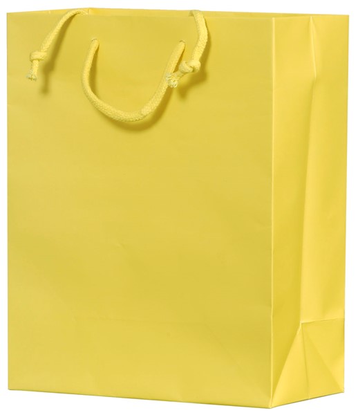 8 x 4 x 10 Matte Laminated Signature Eurototes (Case of 100)