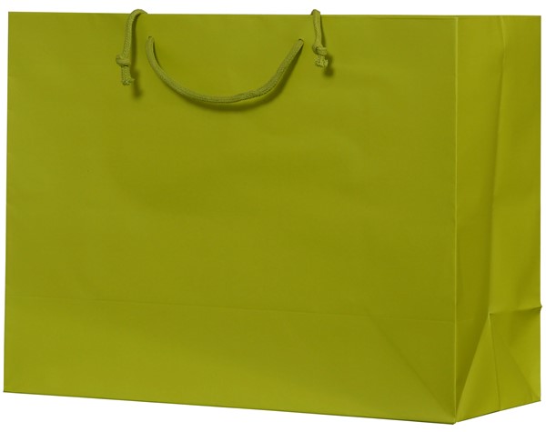 16 x 6 x 12 Matte  Laminated Signature Eurototes (Case of 100)